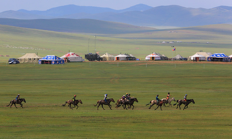 naadam festival horse race 